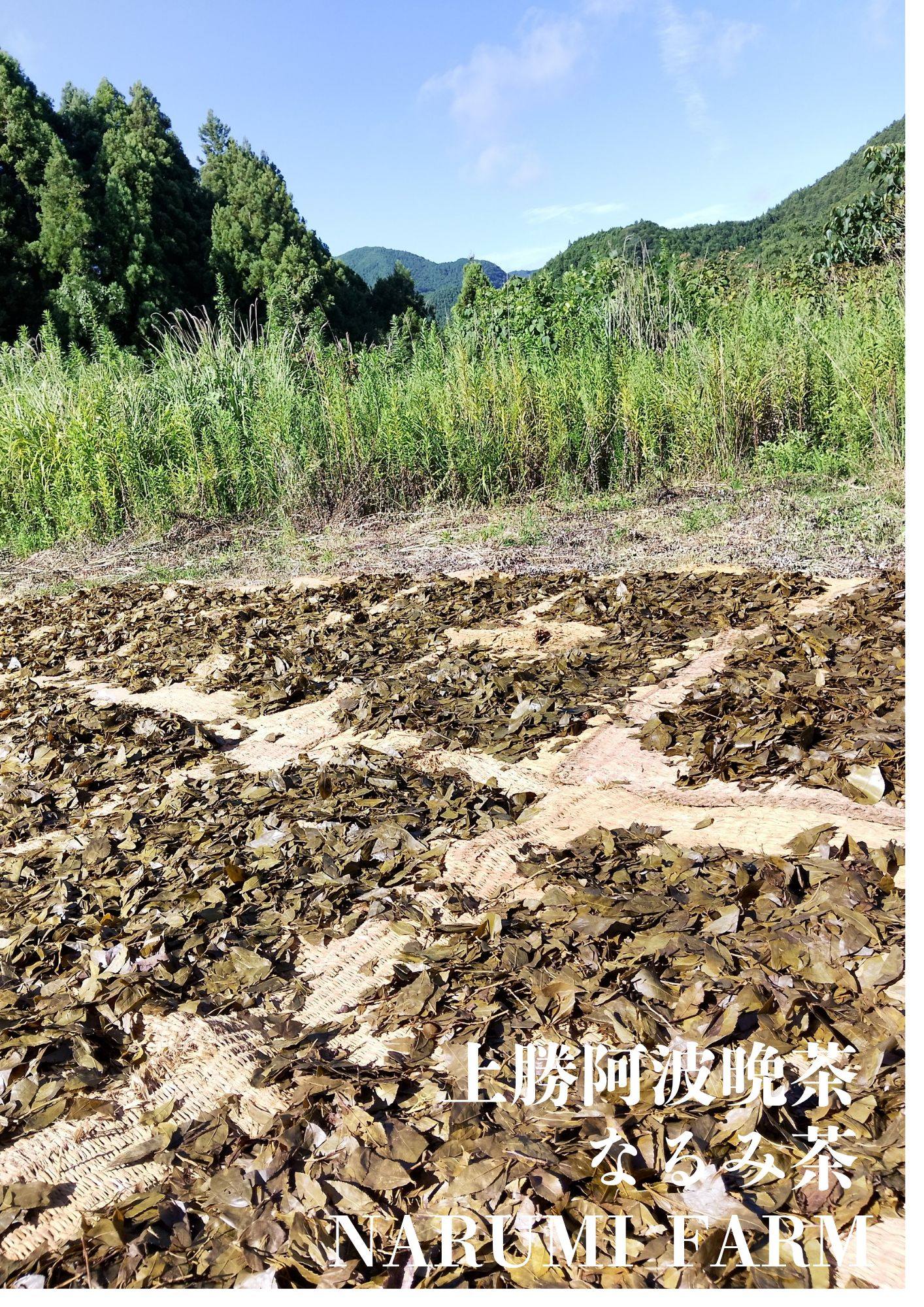 NARUMI FARM - NARUMI FARM added a new photo.