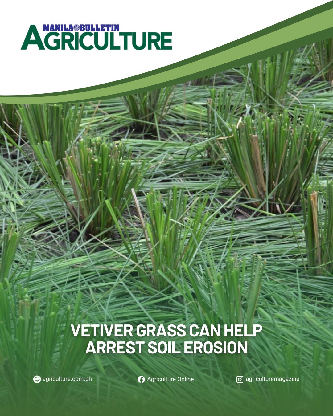 Agriculture Online | Manila