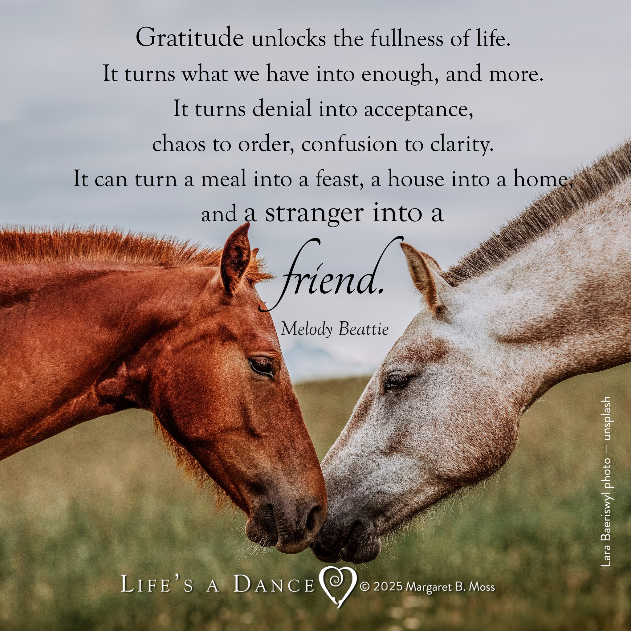 Life's a Dance - #Gratitude #Thanksgiving 🙏🤗😌🌼🌟💛🙏💛🌟 ... | Facebook