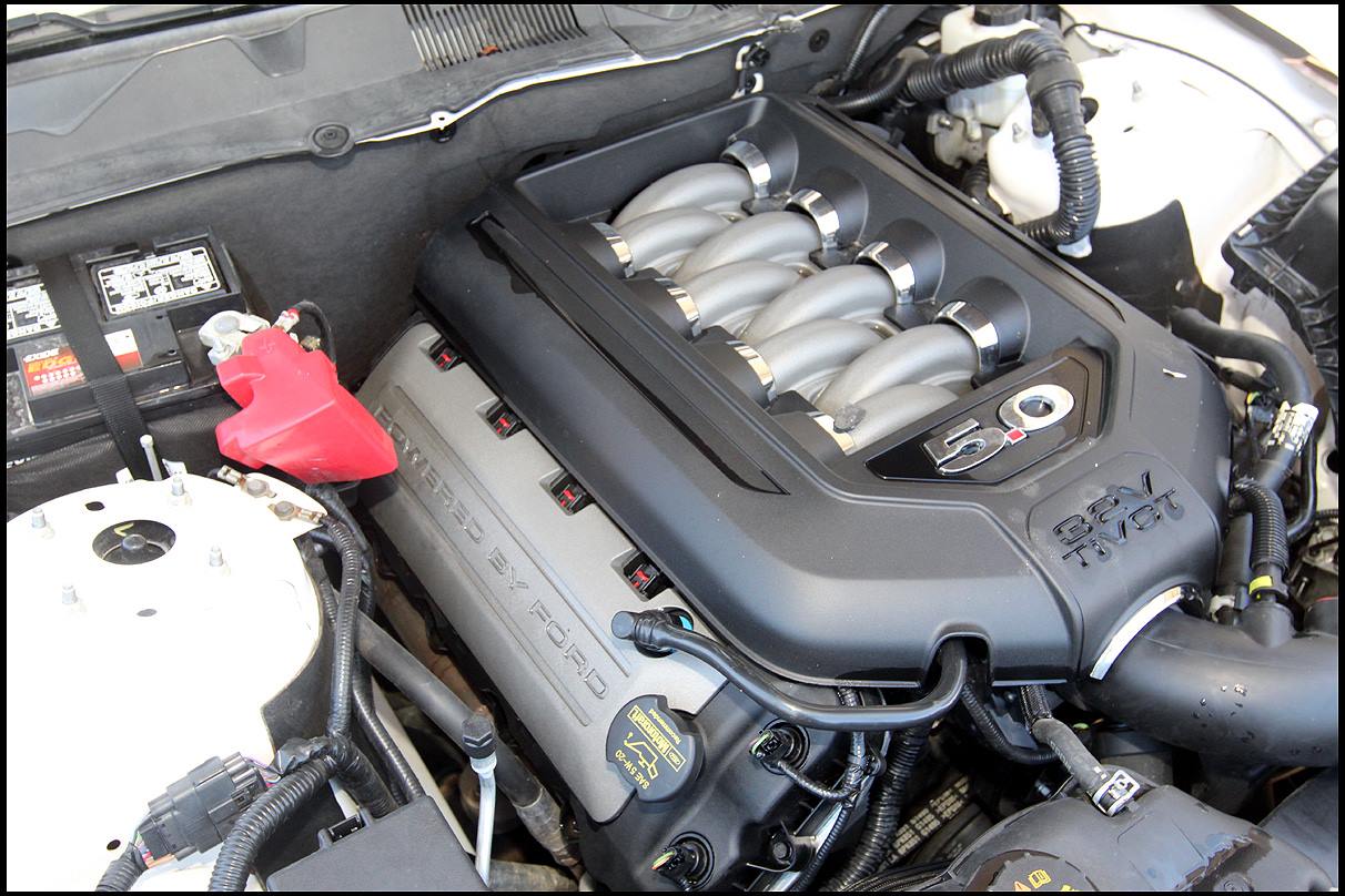 Ford F-150 Shelby 5.0 Coyote Supercharged With a Whipple 700HP | Ford