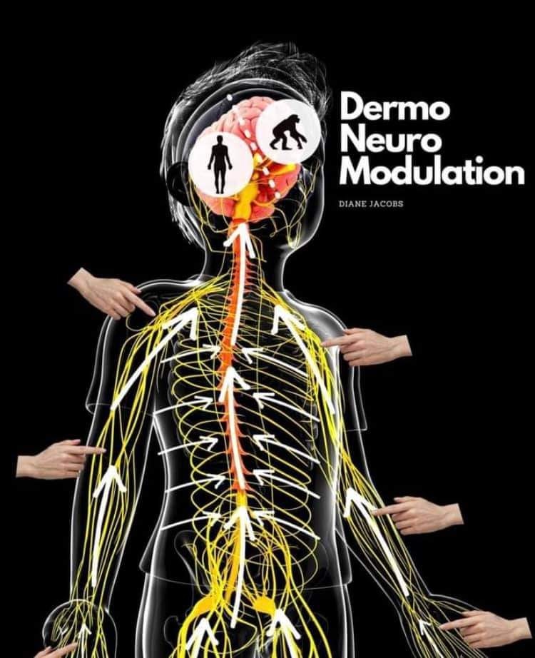 Therapist's role in dermoneuromodulation therapy