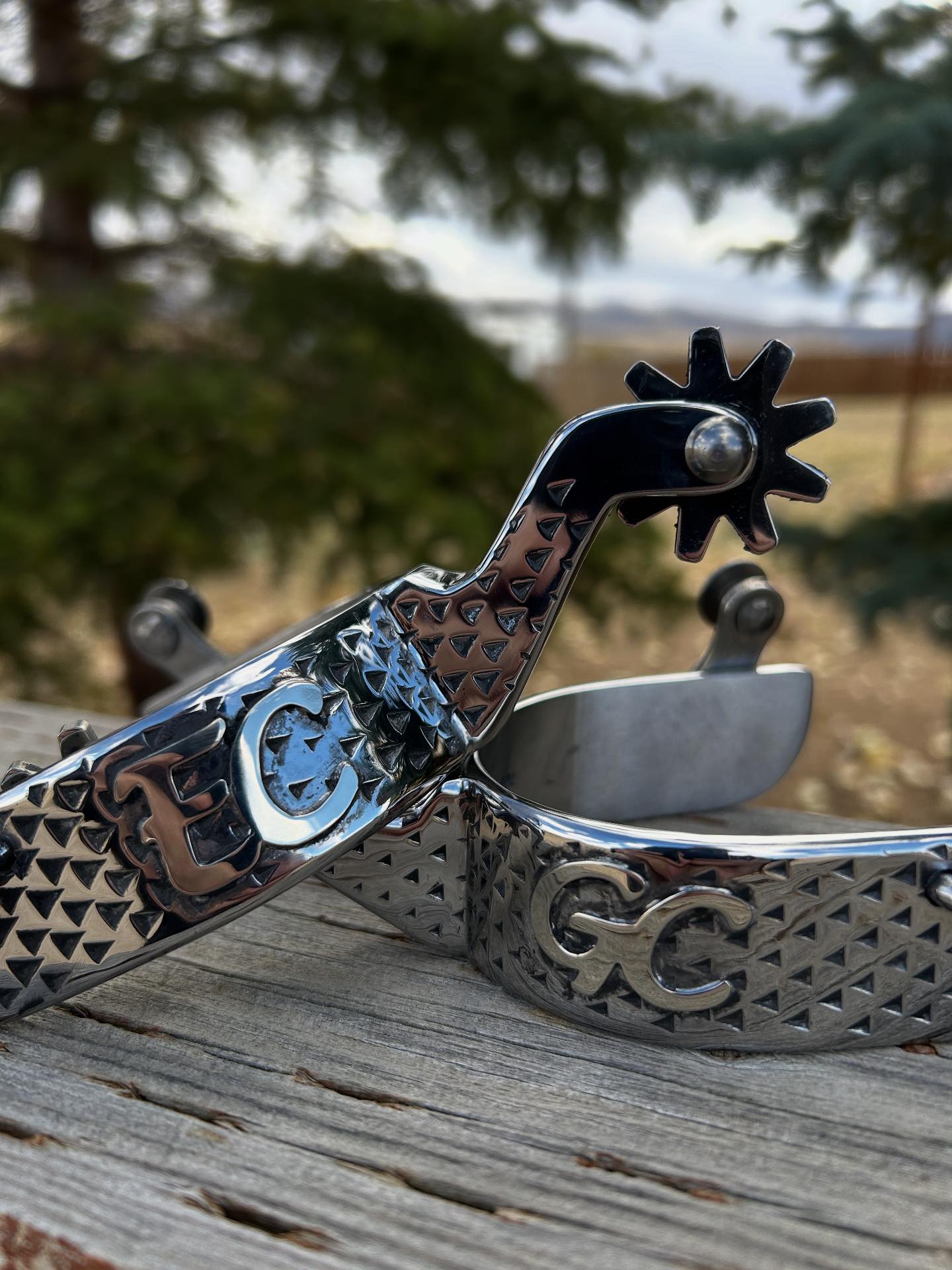 Rasp spurs bits and buckles | West Jordan UT