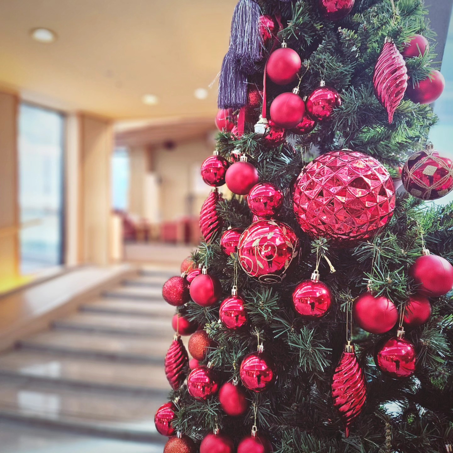 ラウンジ前にX'masツリーを飾りました。 どうぞあたたかく、心静かな