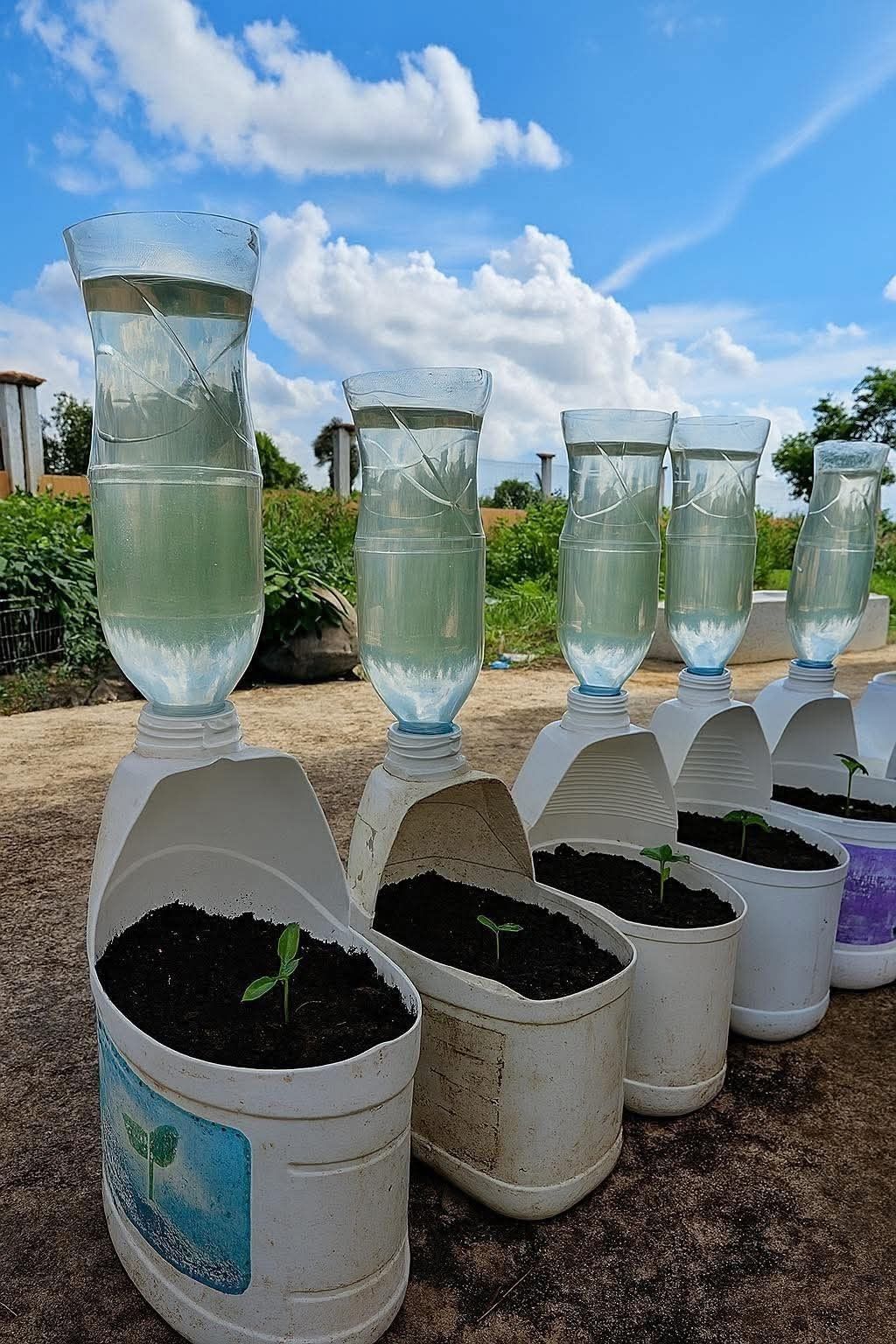 Tip - I made this simple drip irrigation system using old plastic ...