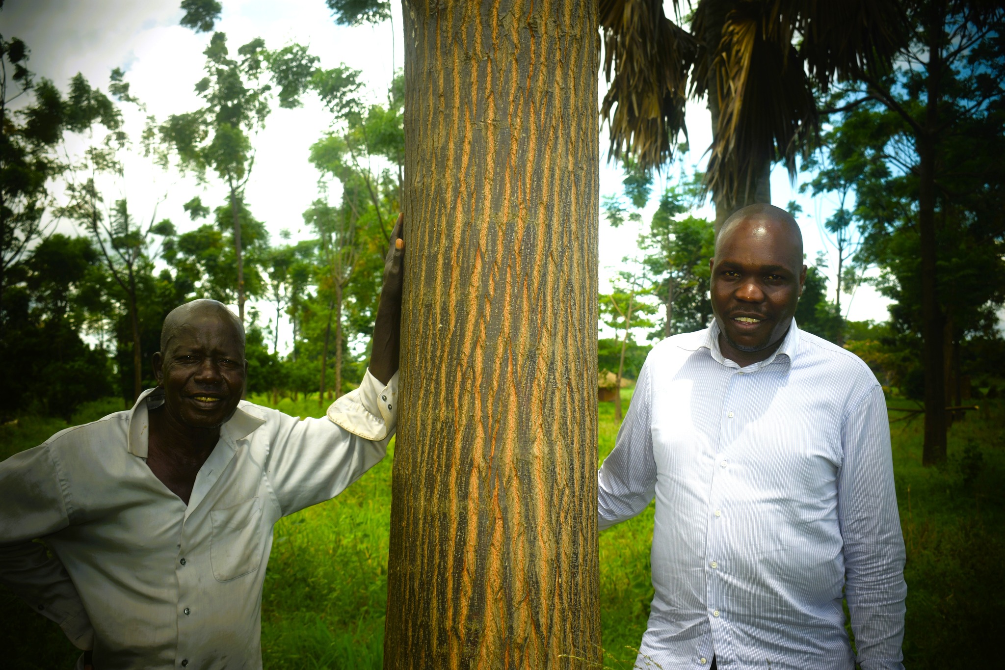 Trees Can Help - Nature's Solution to a Better Future