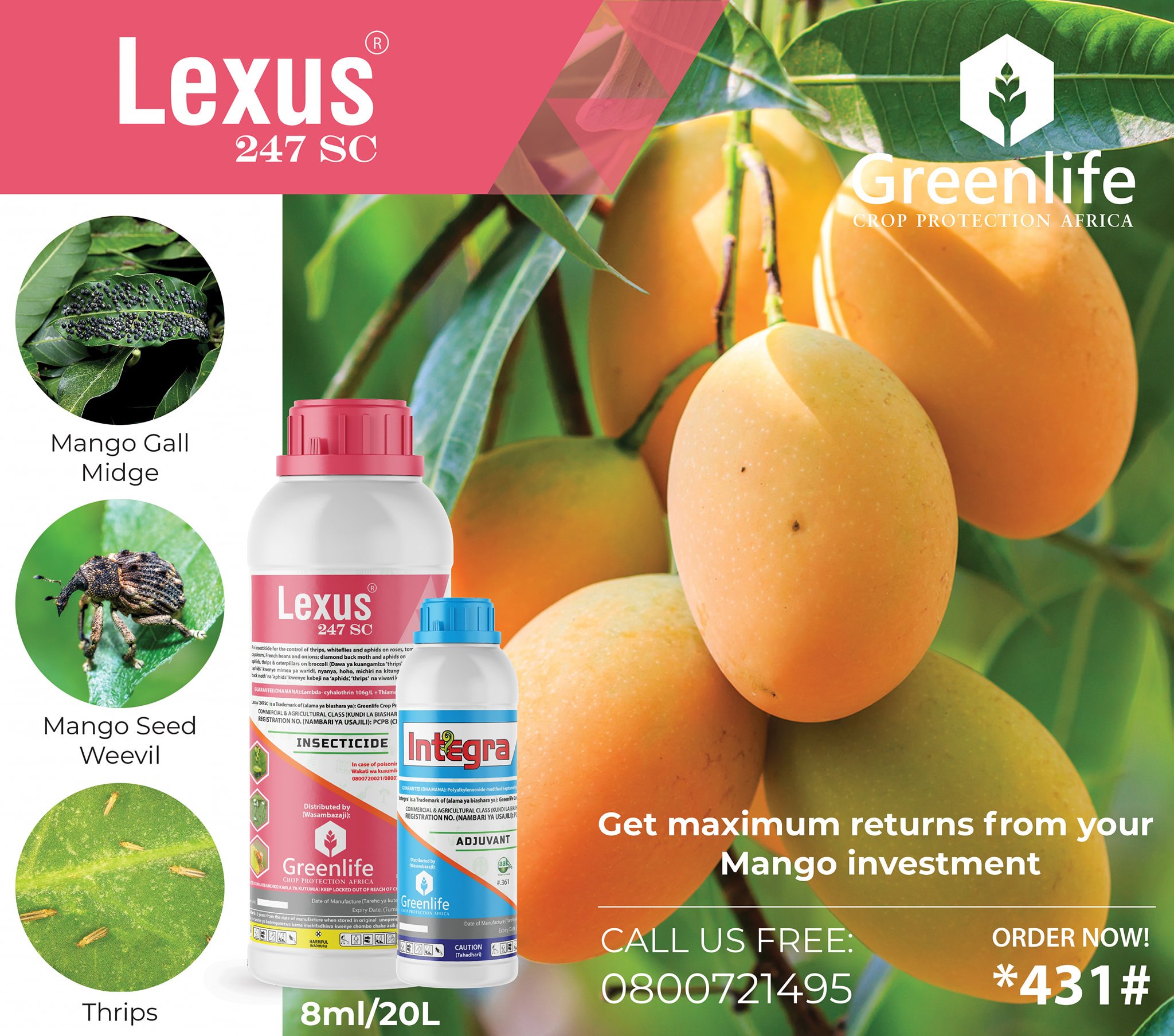 GREENLIFE - Protect your mangoes from Mango gall midge, mango seed ...