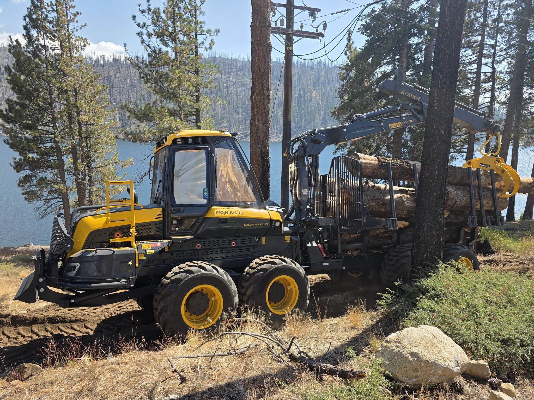 TimberWest Magazine - Want to receive forestry news, product releases ...