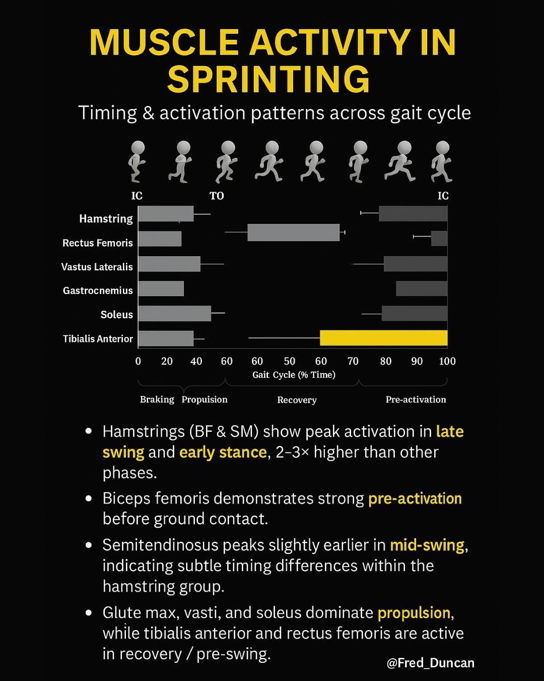 Fred - Speed is about sequencing. Hamstrings load before contact ...