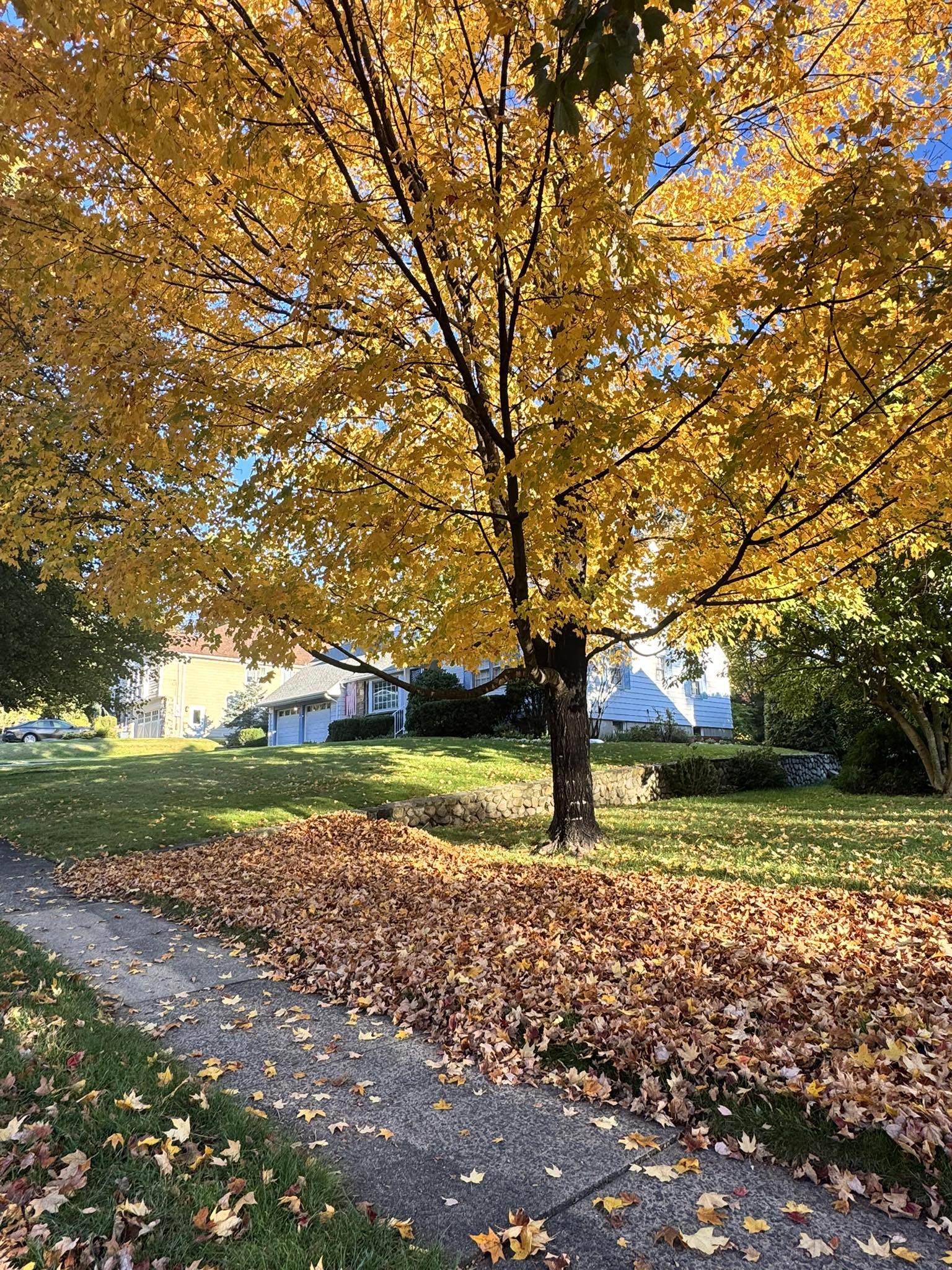 It’s peak fall foliage week in New... - New Jersey Family | Facebook