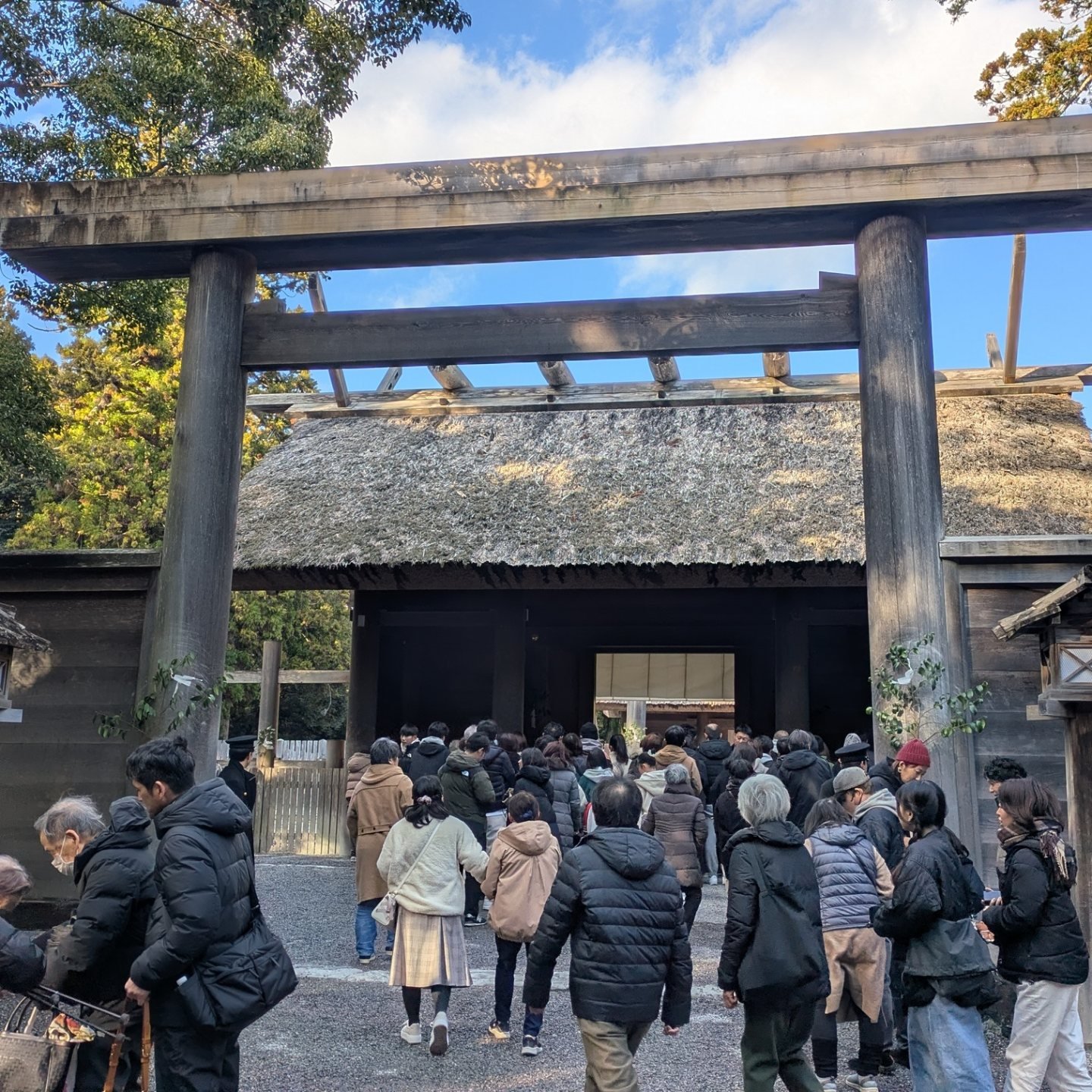 フォレスティ - フォレスティひるがの高原農園﻿ ﻿ 今日は新しい棟に、新しいルンルンシートを敷きました。﻿ ﻿ まぶしい！﻿ ﻿ 〠吉本太生 ...