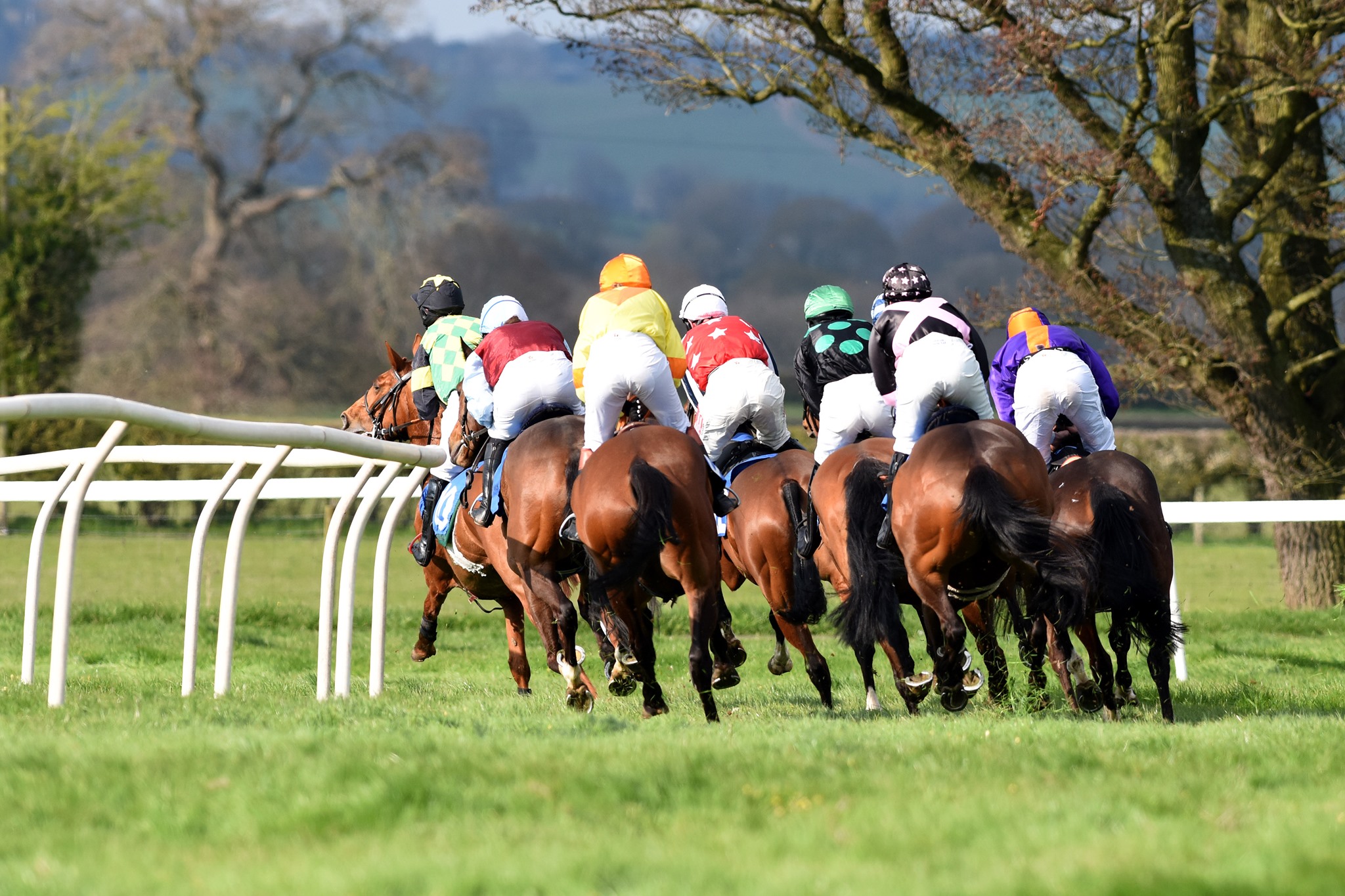 Bitterley Point-to-Point Races | Ludlow