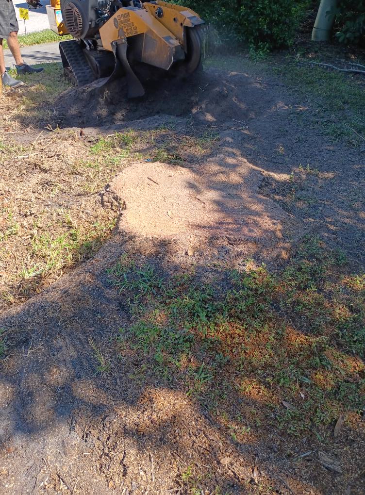 Lee Parker Stump Grinding & tree service LLC | Parrish FL