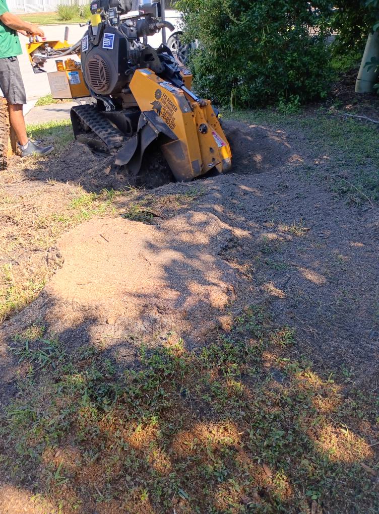 Lee Parker Stump Grinding & tree service LLC | Parrish FL