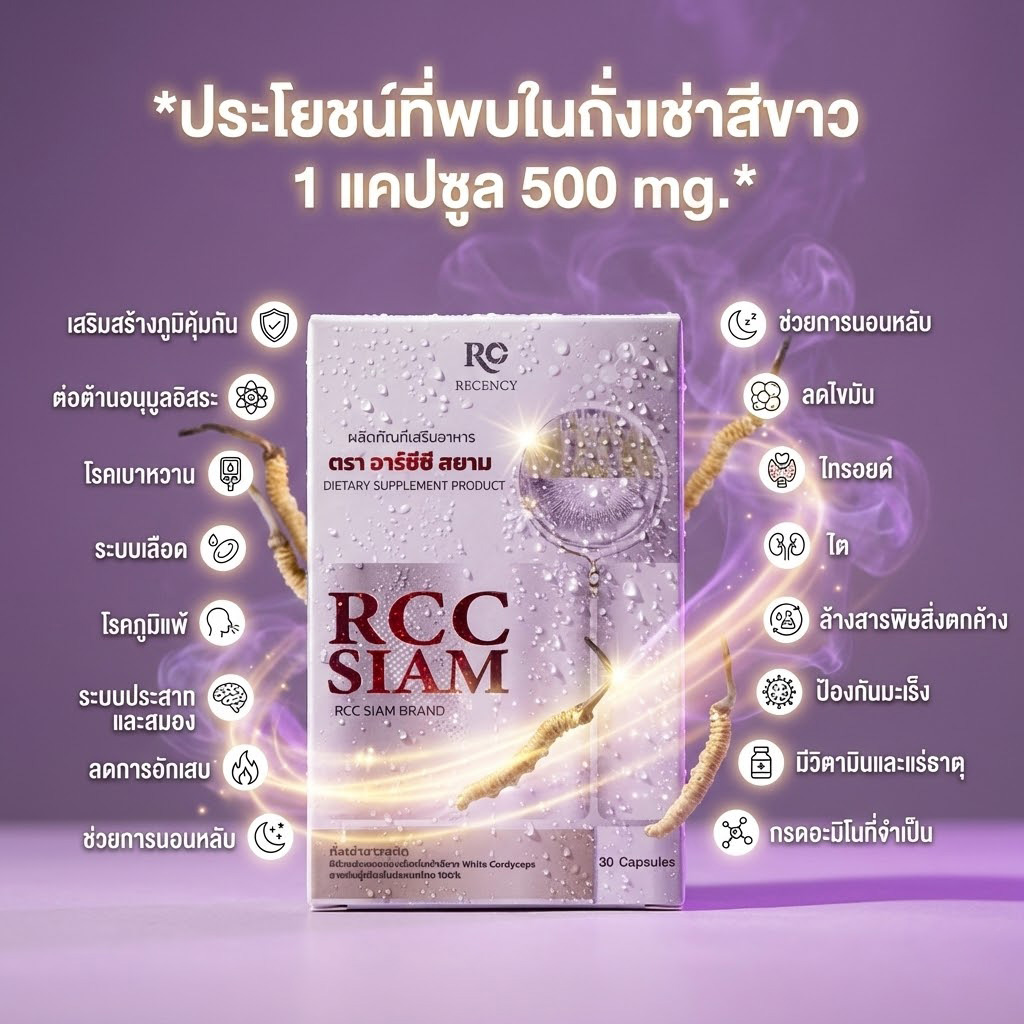 Recency | Bangkok