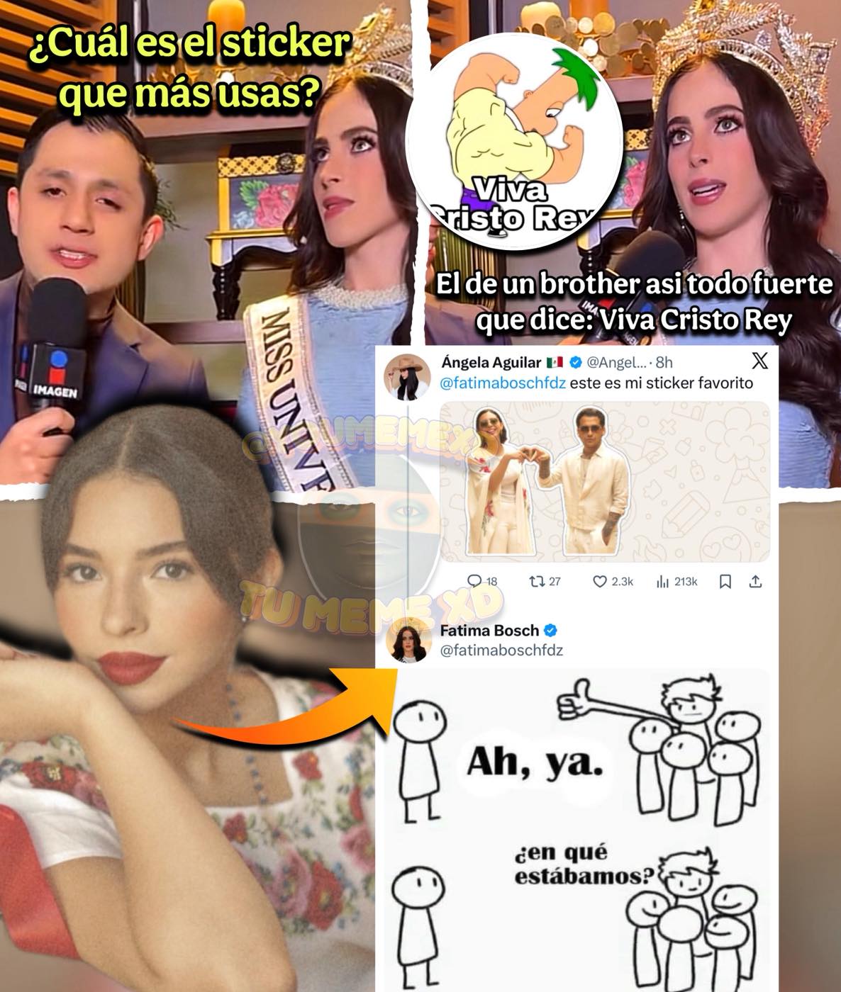Tu - Tras revelar que su sticker favorito es uno de Ferb diciendo “viva ...