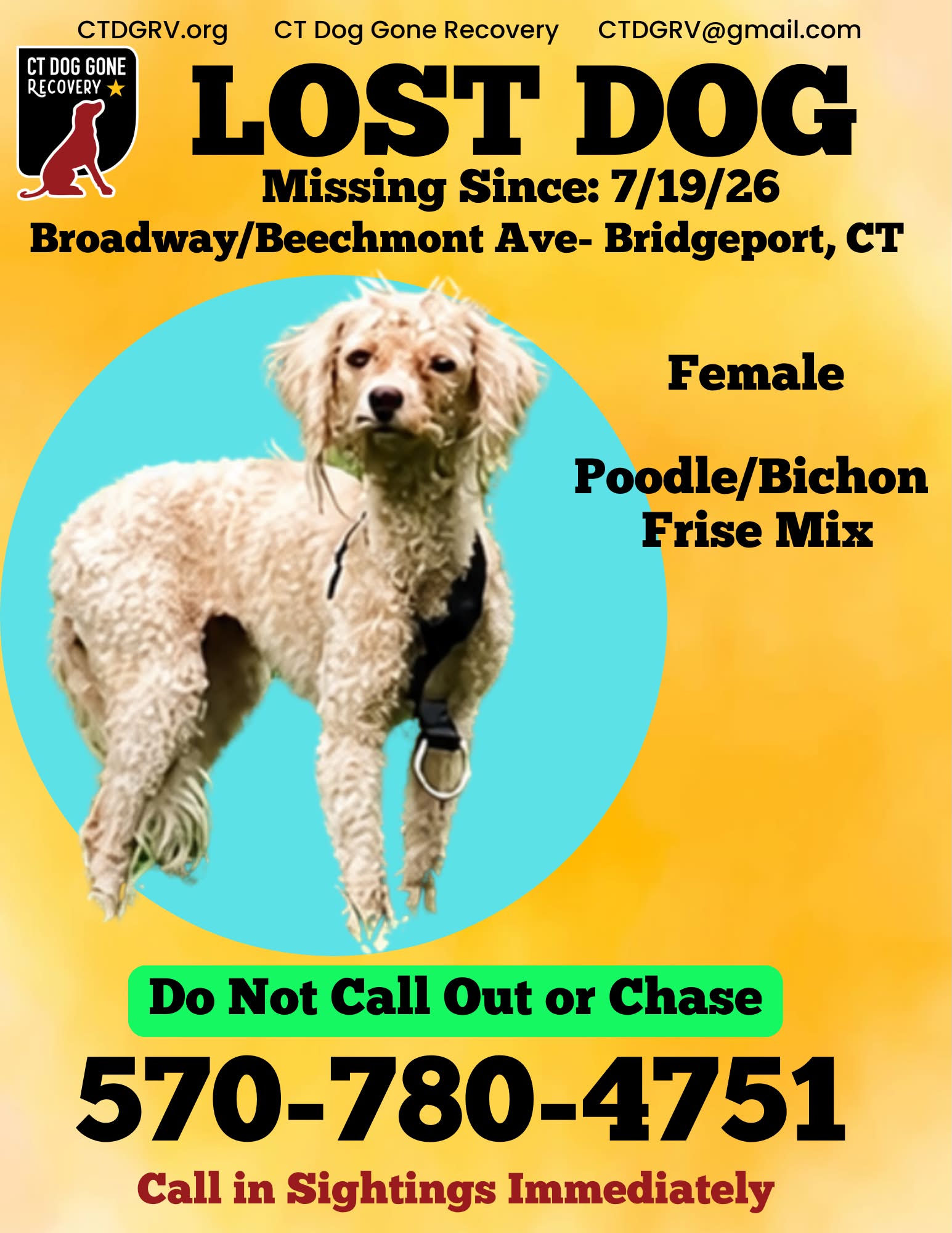 CT Dog Gone - CT Dog Gone Recovery Volunteer Network