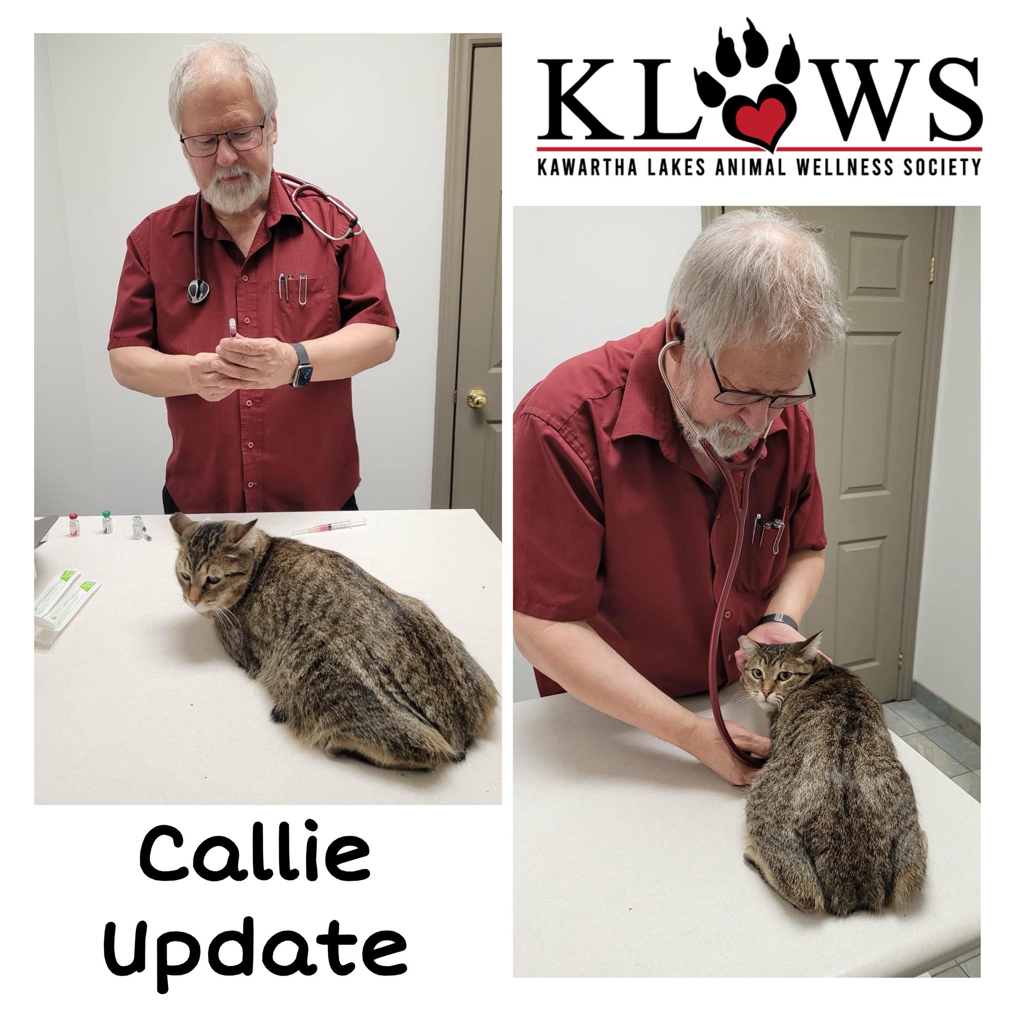 klows-8 CALLIE UPDATE! Several of our followers have reached out to us asking about Callie, our longest kitty resident with gastro complications, who needed a feeding tube after going into liver failure. Well the unforgettable character who Frontiers | Molecular Mechanisms collection:: Gift Sets Flavor:Buzz'in Orange