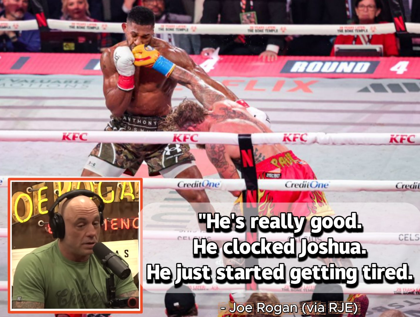 Bruce - 🧐 Joe Rogan with high praise for Jake Paul 😎😂😂 #jakepaul # ...