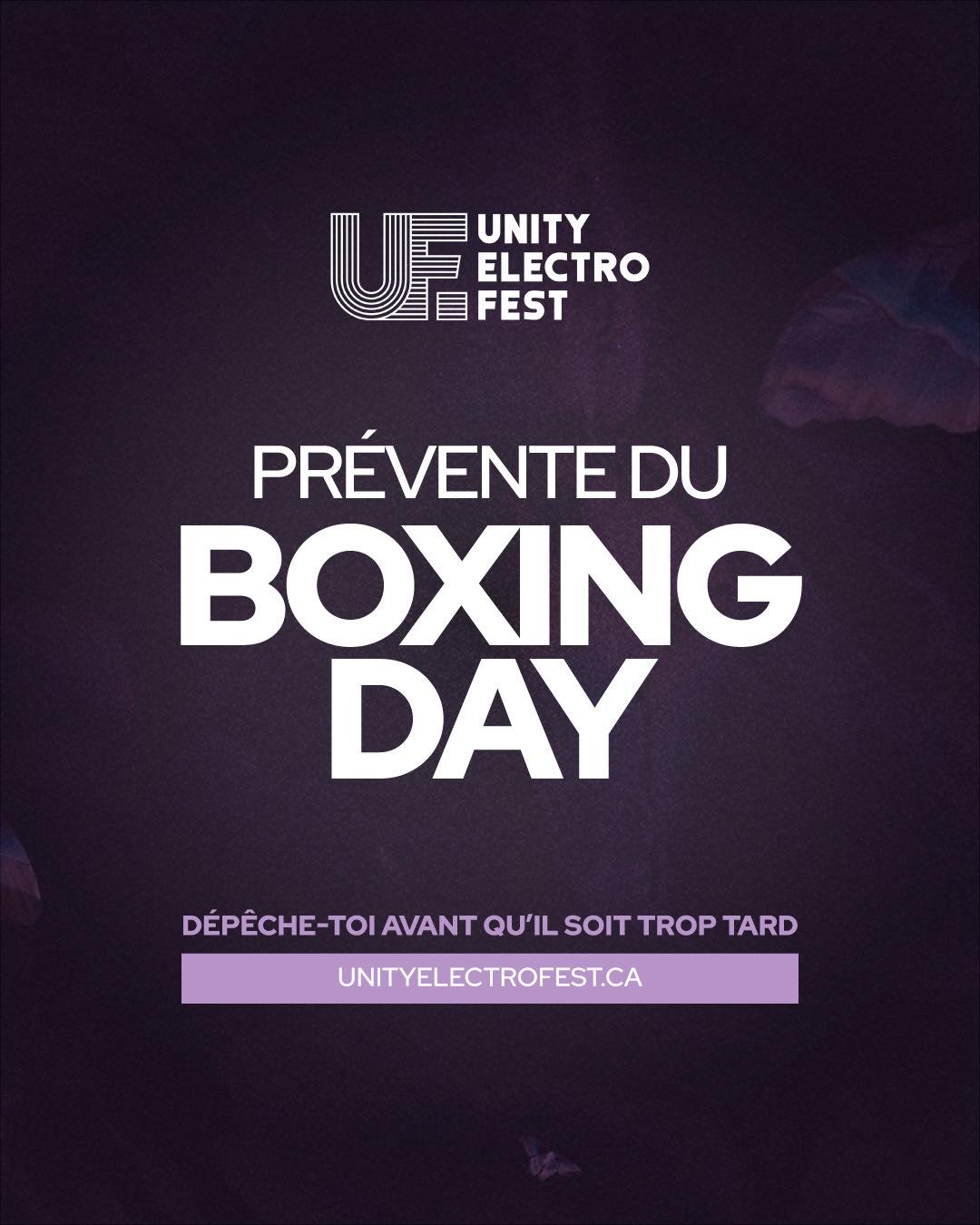 Unity Electro Festival