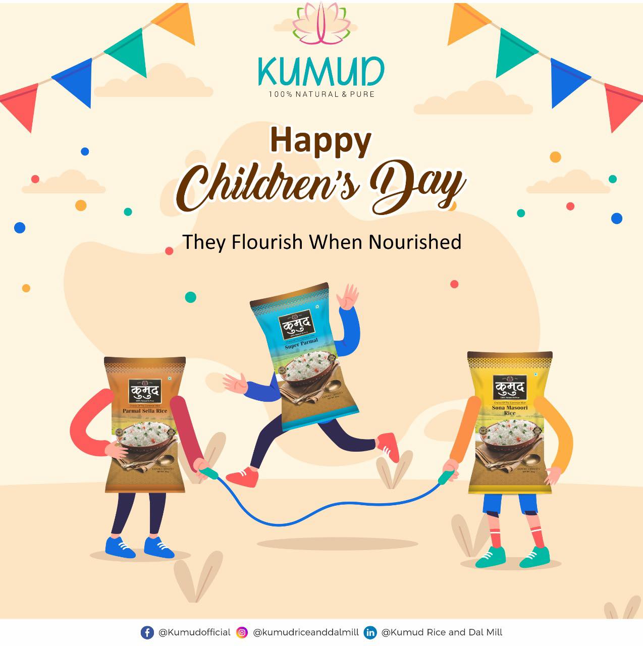 Kumud Rice and Dal Mill