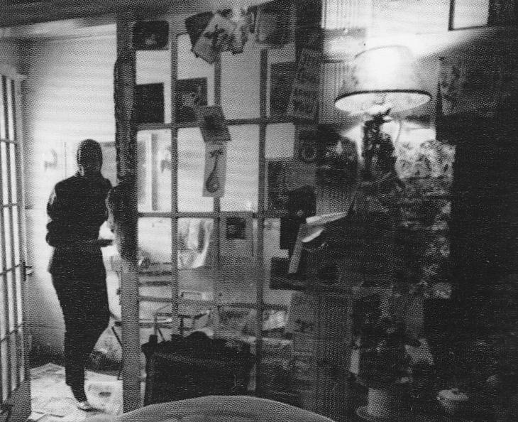 Staunch - In this Maysles' photo Edie emerges from the yellow bedroom ...