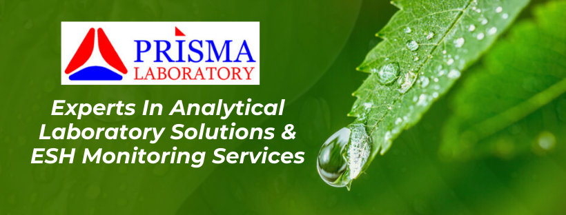 Prisma Laboratory Updated Their Cover Prisma Laboratory