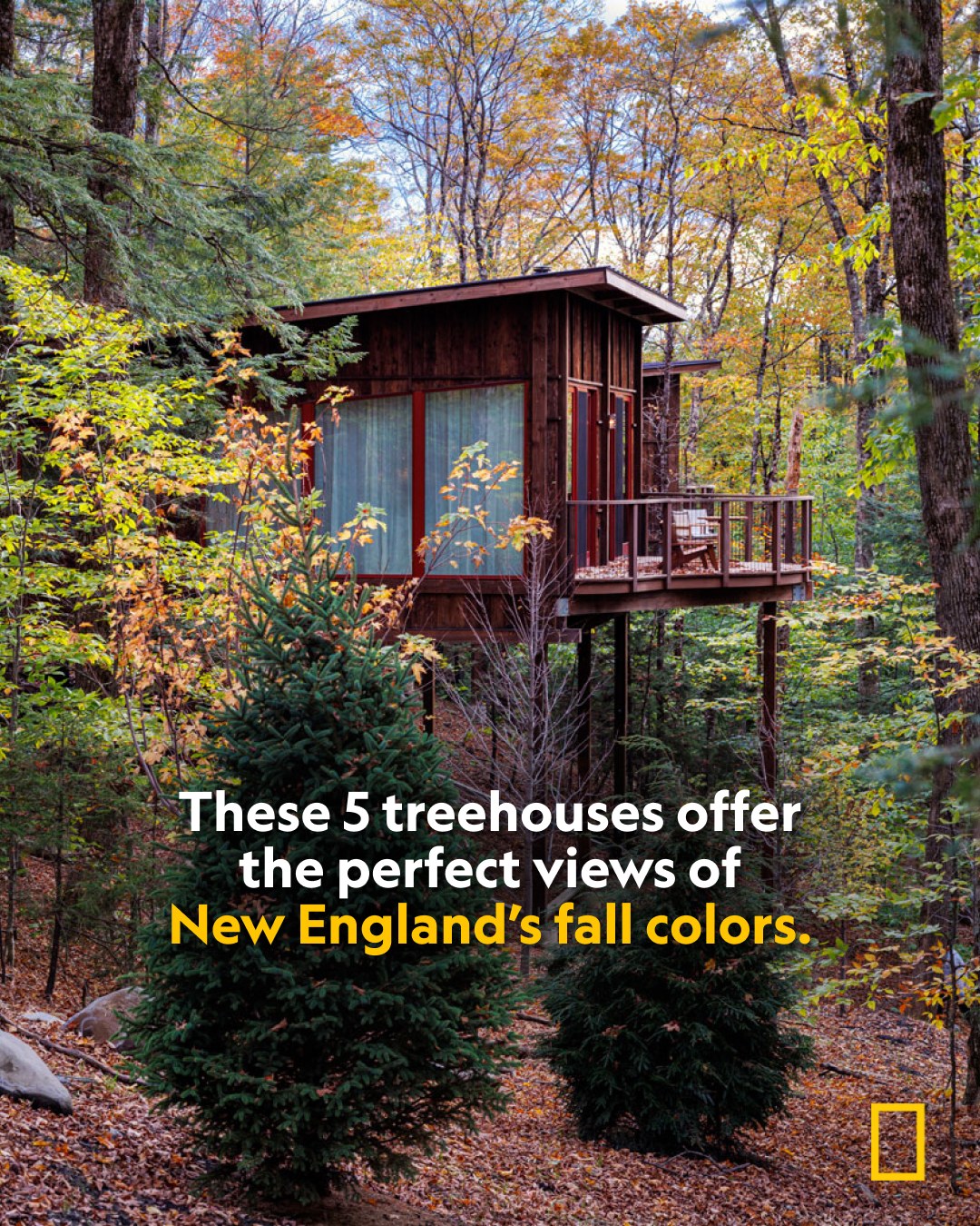 National - In New England, treehouses have evolved from childhood ...