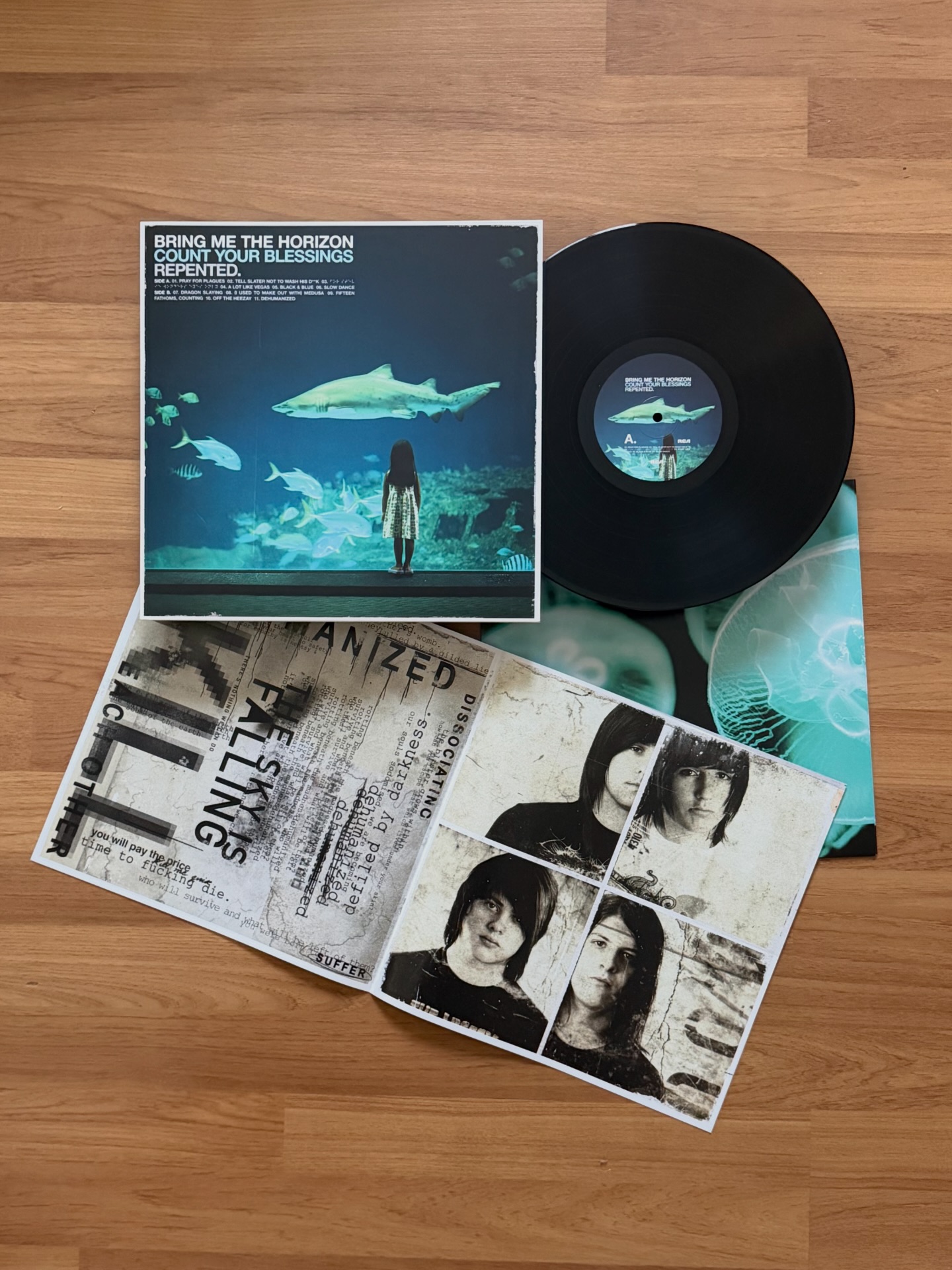 never young beach ‎: Yashinoki House (JP) 2024 1LP Black Vinyl