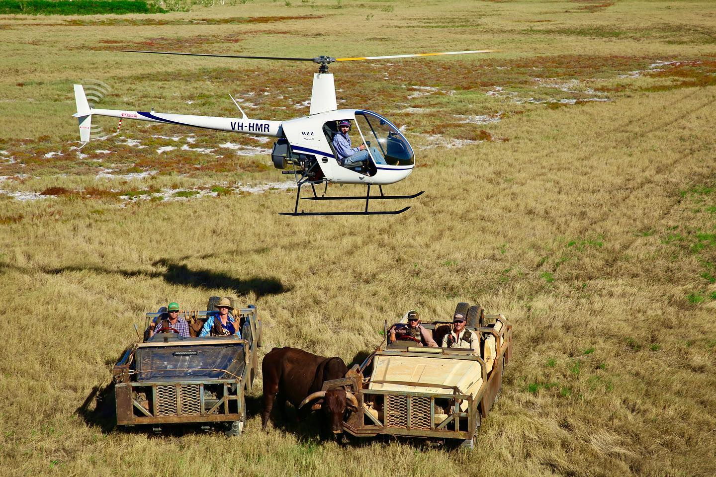 Ringers From The Top End (RFTTE) | # **Commercial Mustering Pilot ...
