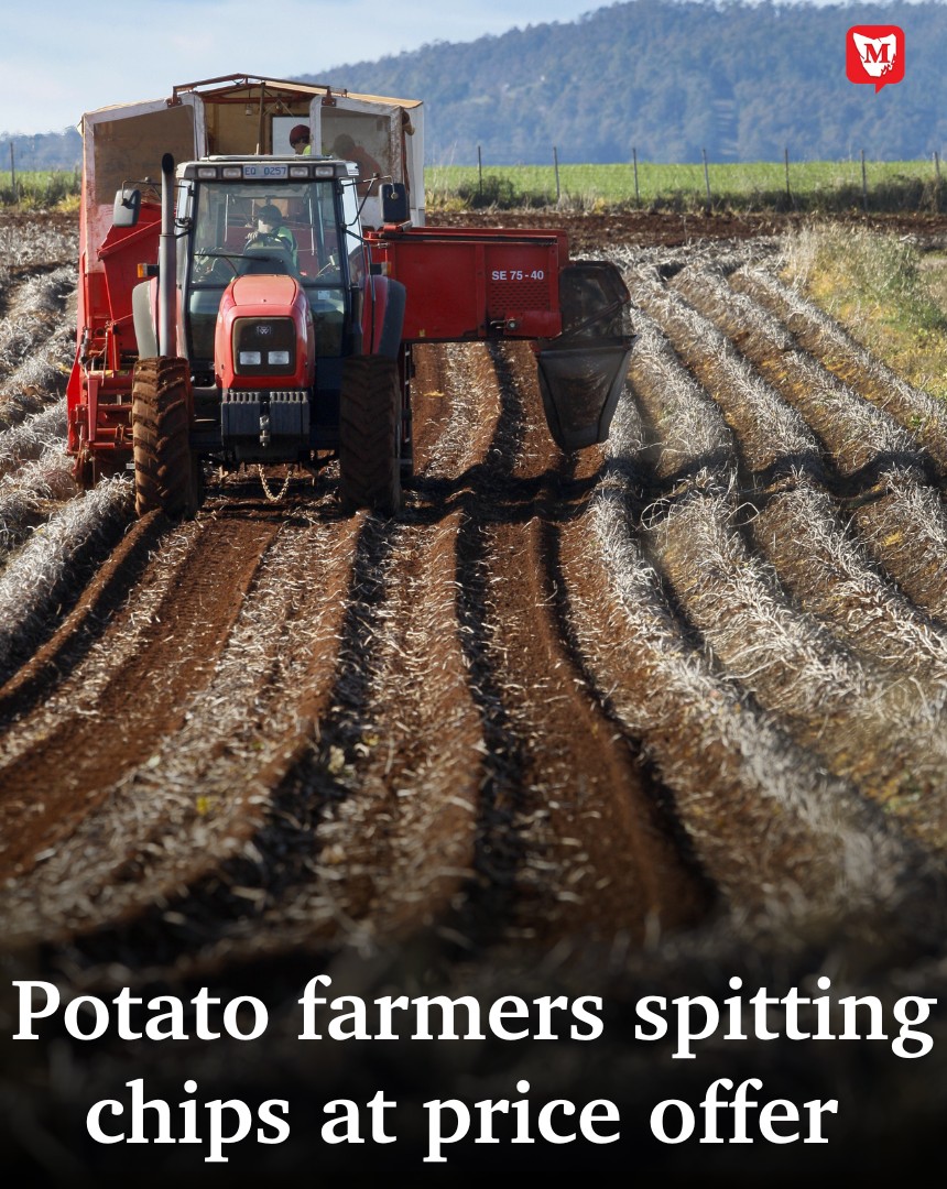 The North - Tasmanian potato growers are digging in about potato price ...