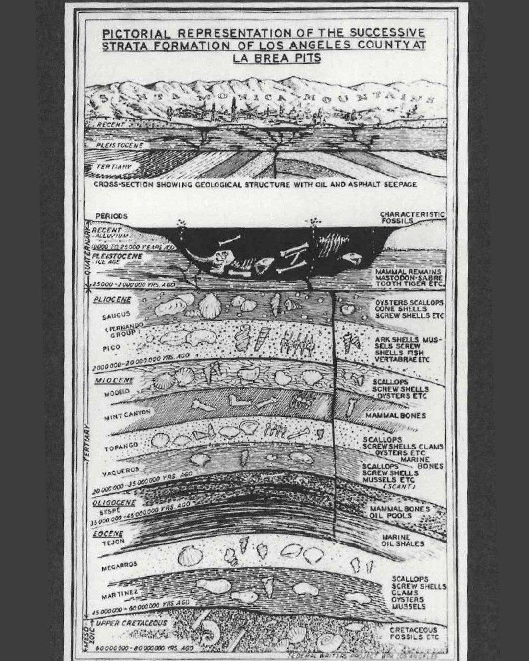 La - What lies within the depths of Los Angeles? Look back 80 million ...