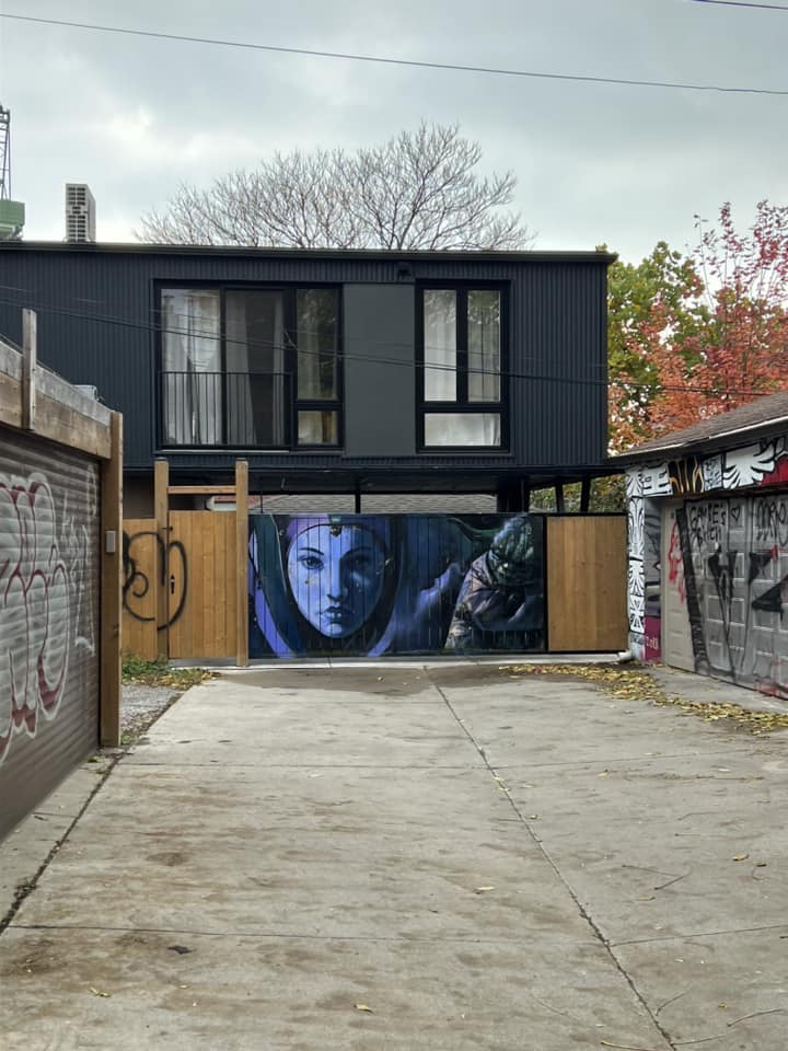 Pink Panther by Matt Gondek in Toronto, Canada. Made You Smile (15
