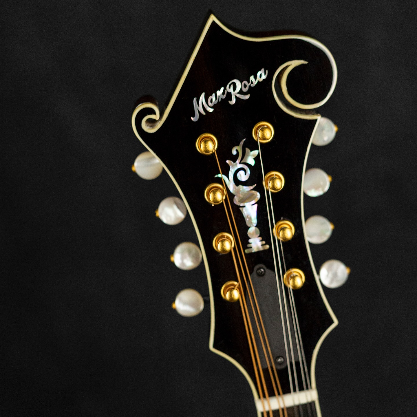Max Rosa Guitars
