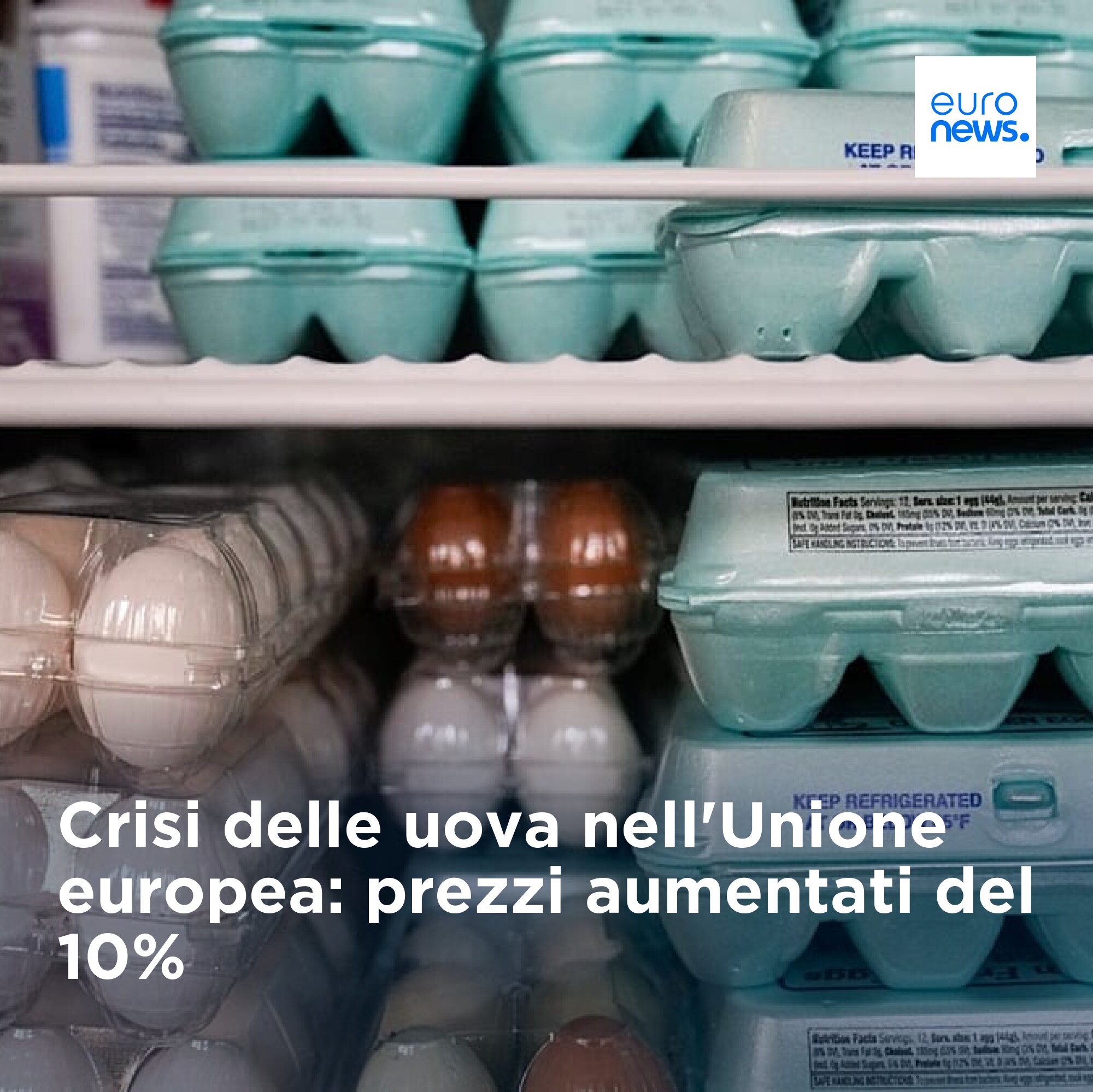 Uovo Prezzo Record Aumento
