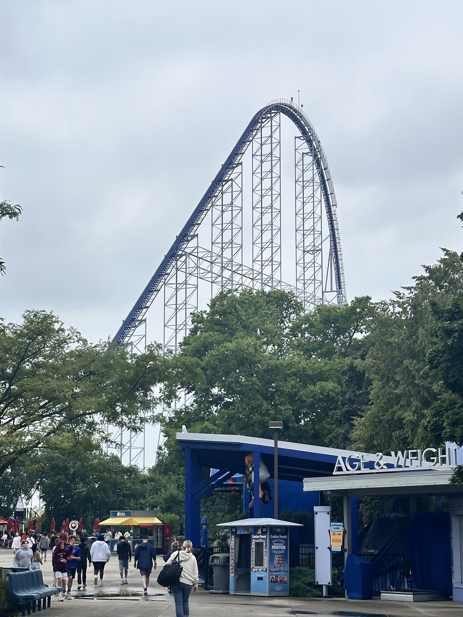 Coasters - - Top 30 Roller Coasters of 2025 - #30 Millennium Force ...