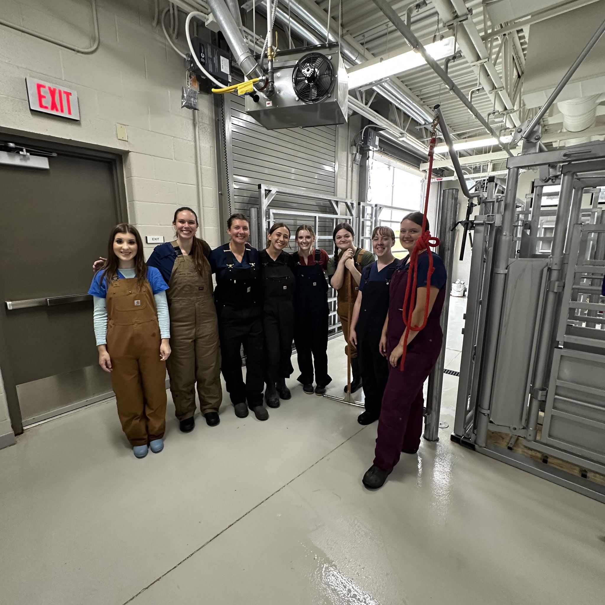 Black... - Black Hawk College Veterinary Technology Program
