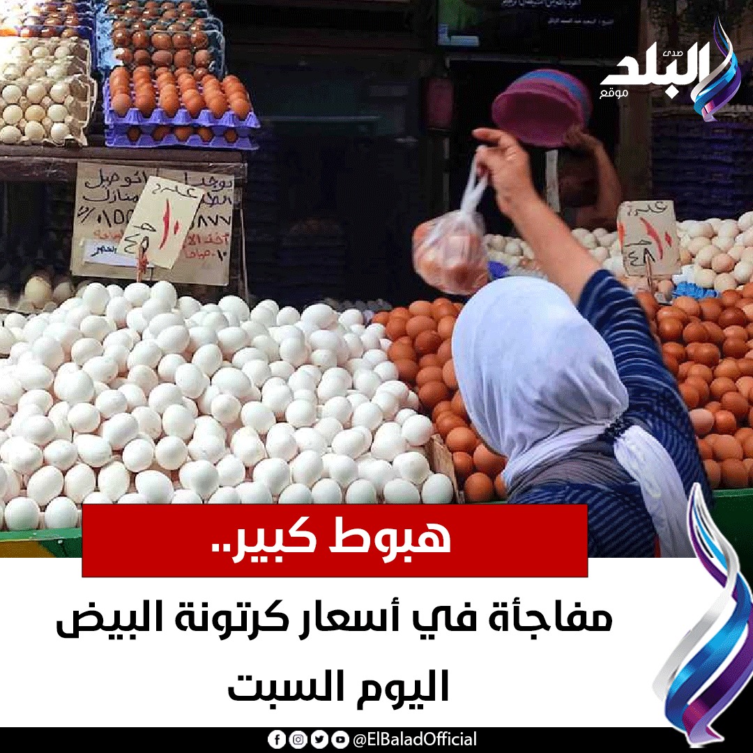 صدى - هبوط كبير.. مفاجأة في أسعار كرتونة البيض اليوم السبت للمزيد ...