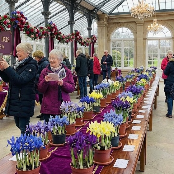 British - EARLY SPRING SHOW 2026 Saturday, February 14th at the Hilltop ...