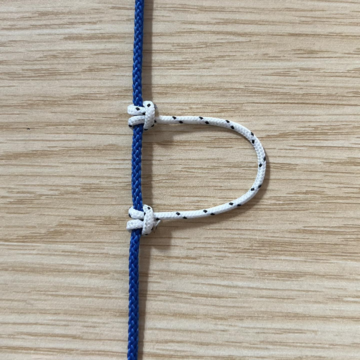 Ningbo Antelope Rope Co., Ltd.