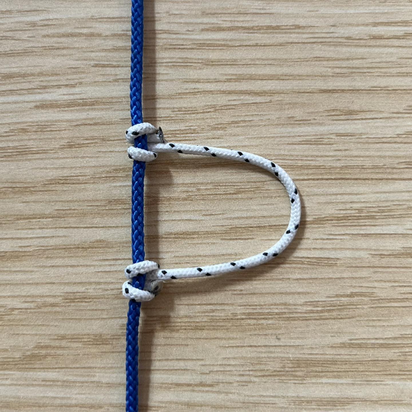 Ningbo Antelope Rope Co., Ltd.