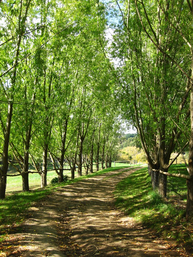 Summerhill Farm B&B | Main Ridge VIC