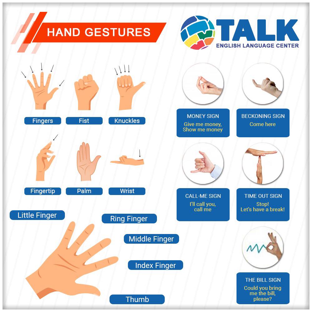 Talk Academy - Learn the language of hand gestures and get...