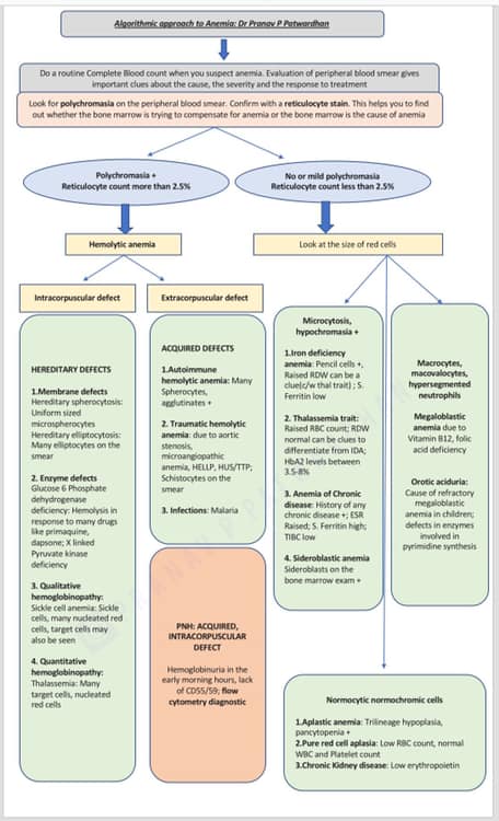The last algorithm I have made... - Understanding Pathology