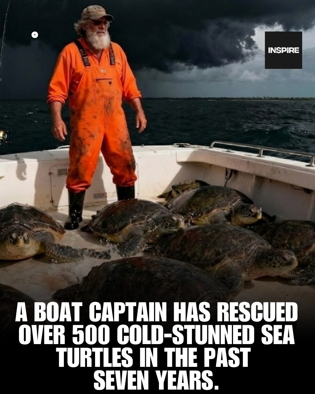 Inspire - A boat captain has rescued over 500 cold-stunned... | Facebook
