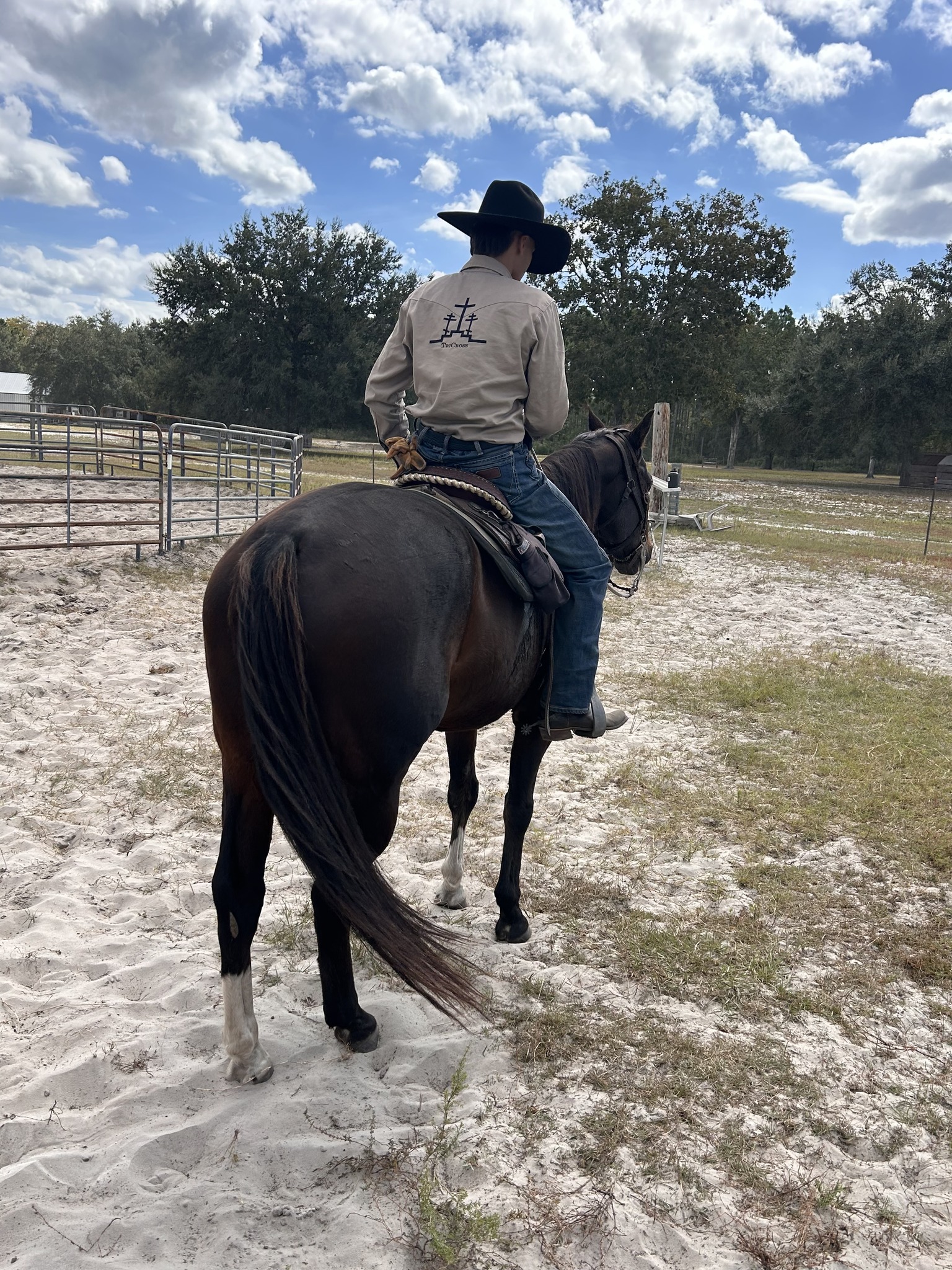 St. Johns County Horse Community | Good evening all, I'm currently ...