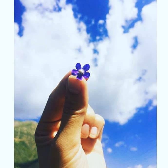 ادلایدیها/Adelaidians | با سلام خدمت همه فارسی‌زبانان عزیز 🌹 | Facebook
