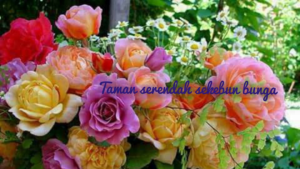 ~TAMAN SERENDAH SEKEBUN BUNGA~