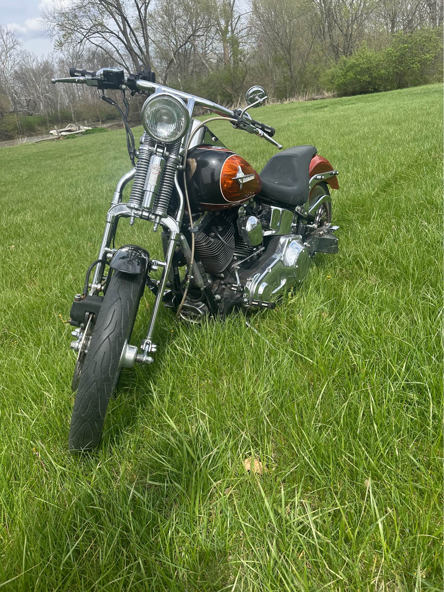 06 springer soft tail - Motorcycles & Scooters - Rochester, Indiana ...