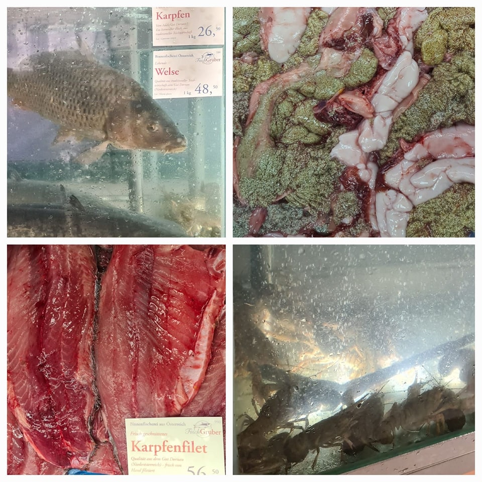 Fisch - 🎣 Schaut Euch diese schöne Ware an! 🎣 Unsere frischen Karpfen ...