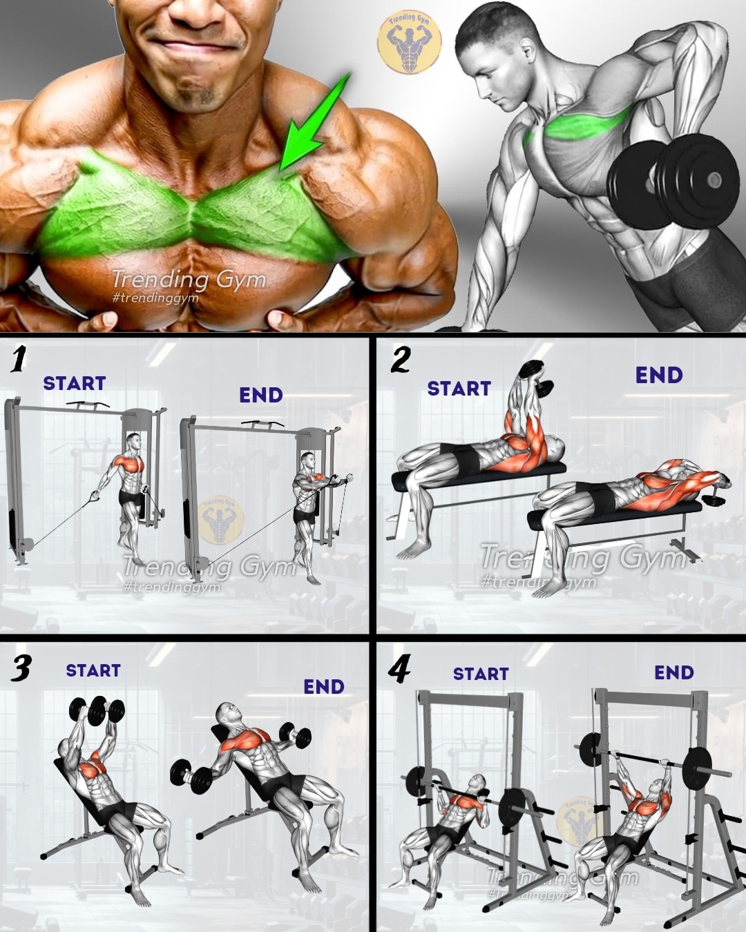 Trending - 4 Best Chest Day Exercises 🔥 ① Standing Cable Low Chest ...